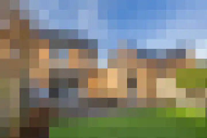 Melkweg 70 Zuidland thumbnail 32