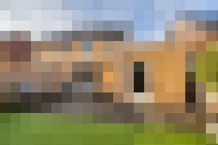Melkweg 70 Zuidland thumbnail 33