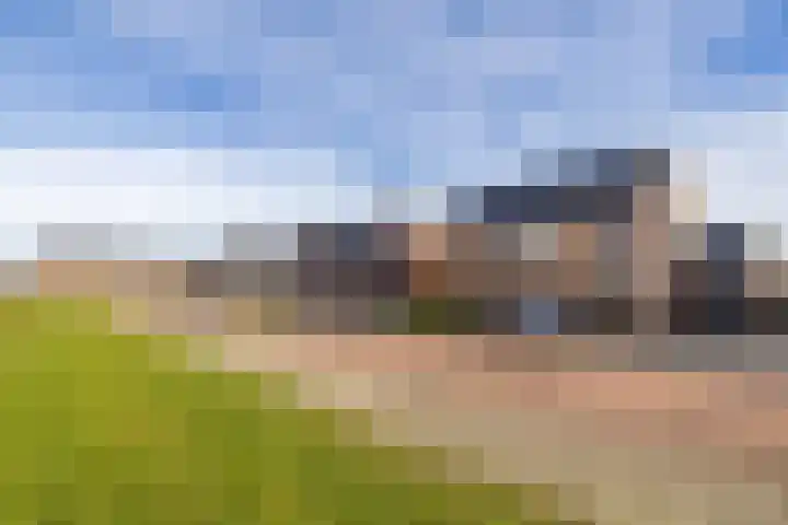 Melkweg 70 Zuidland thumbnail 35