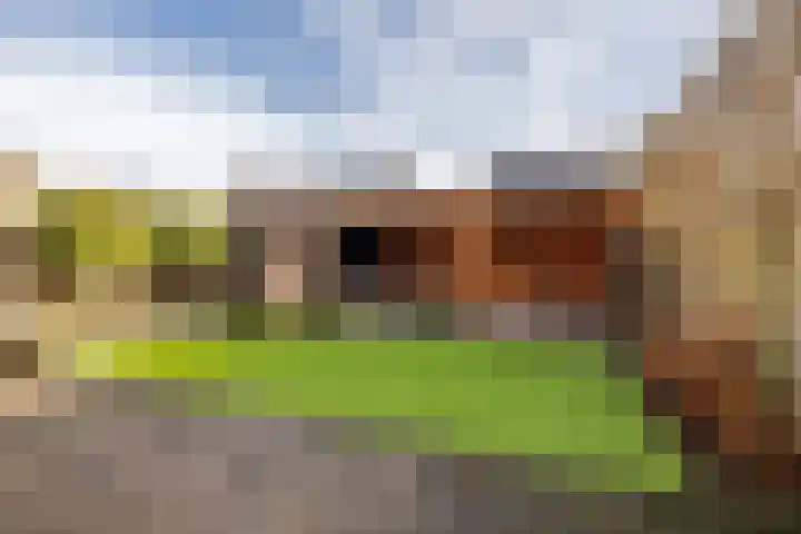 Melkweg 70 Zuidland thumbnail 5