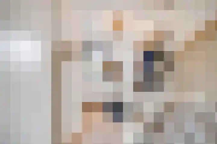 Melkweg 70 Zuidland thumbnail 7
