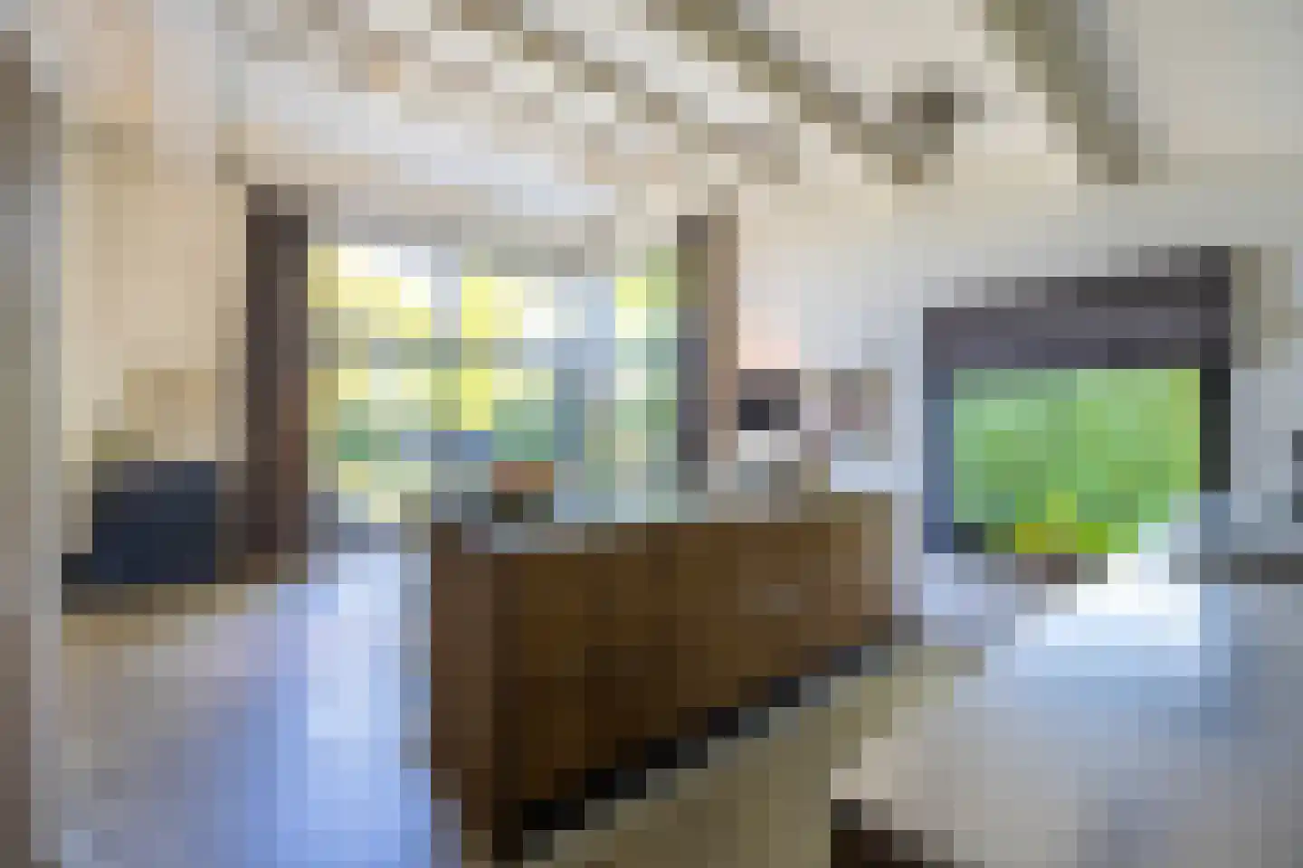 Melkweg 74 Laren thumbnail 11