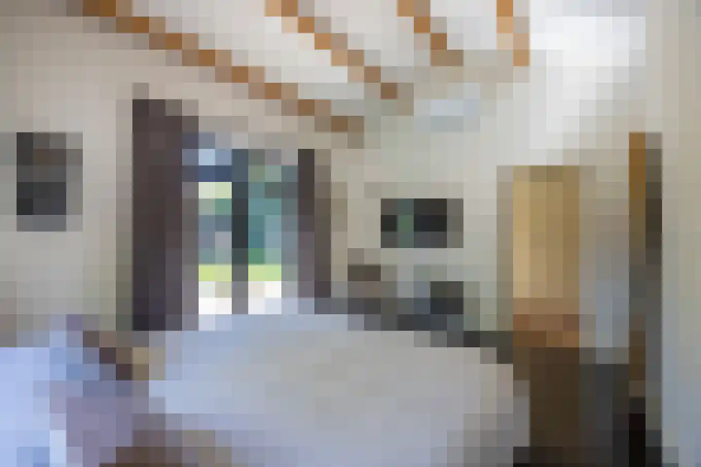 Melkweg 74 Laren thumbnail 19