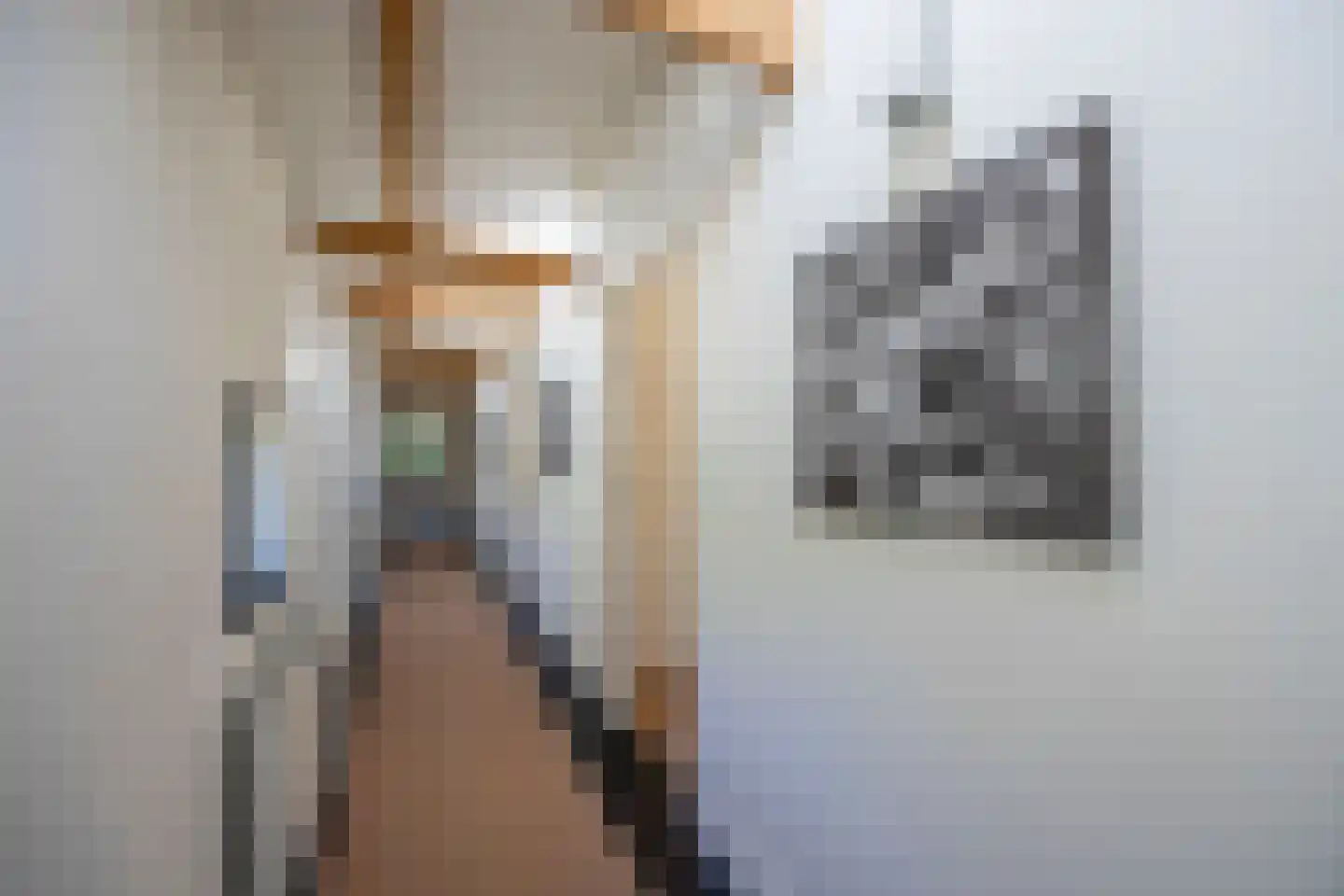 Melkweg 74 Laren thumbnail 22