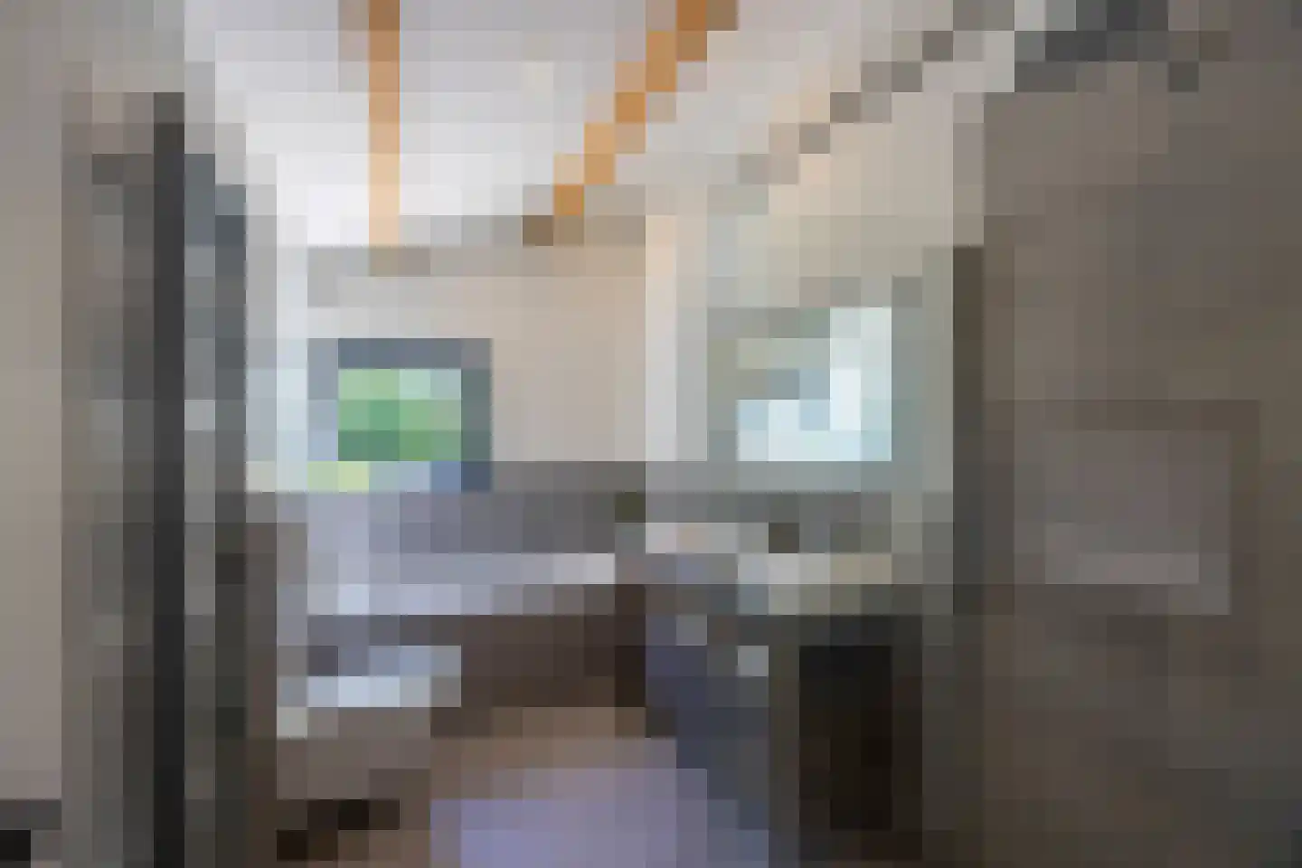 Melkweg 74 Laren thumbnail 23