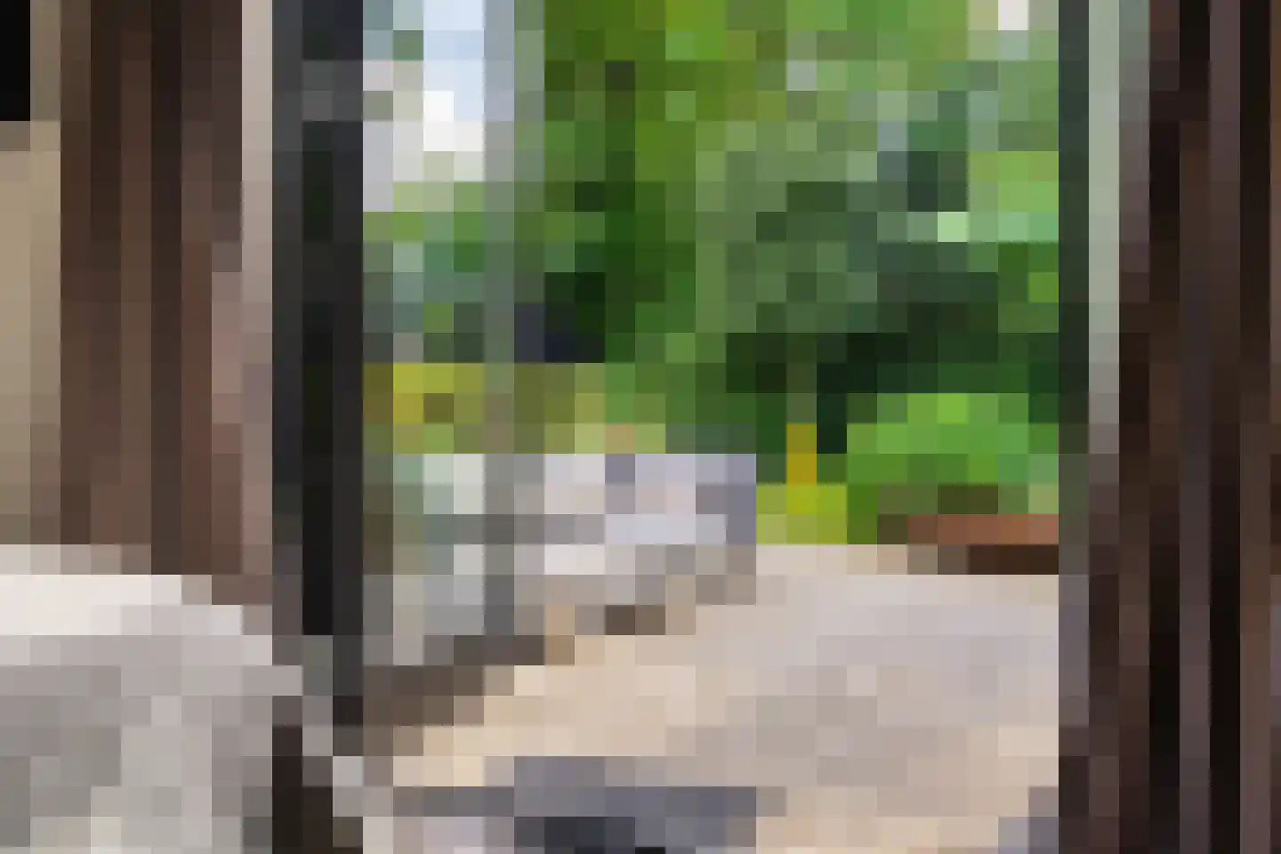 Melkweg 74 Laren thumbnail 32