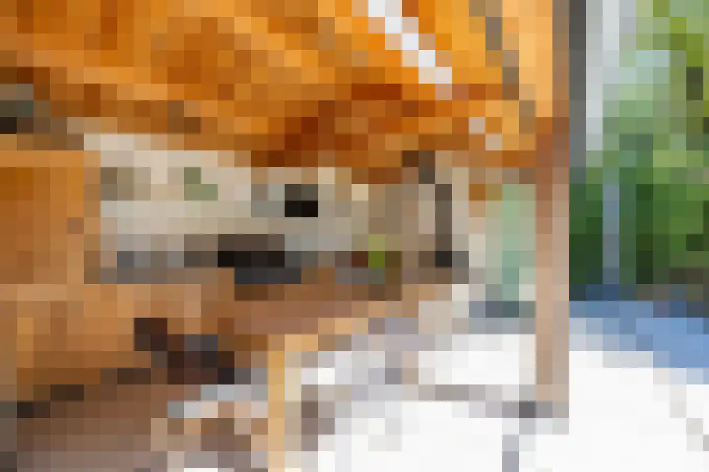 Melkweg 74 Laren thumbnail 43