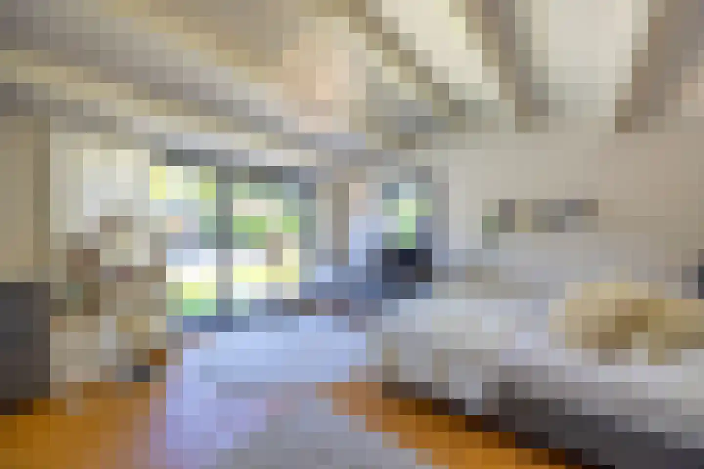Melkweg 74 Laren thumbnail 48