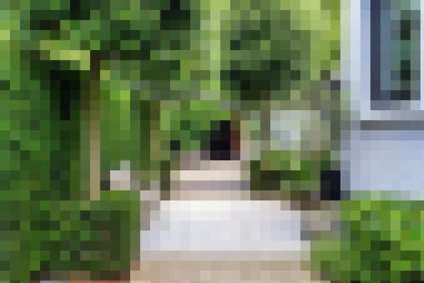 Melkweg 74 Laren thumbnail 5