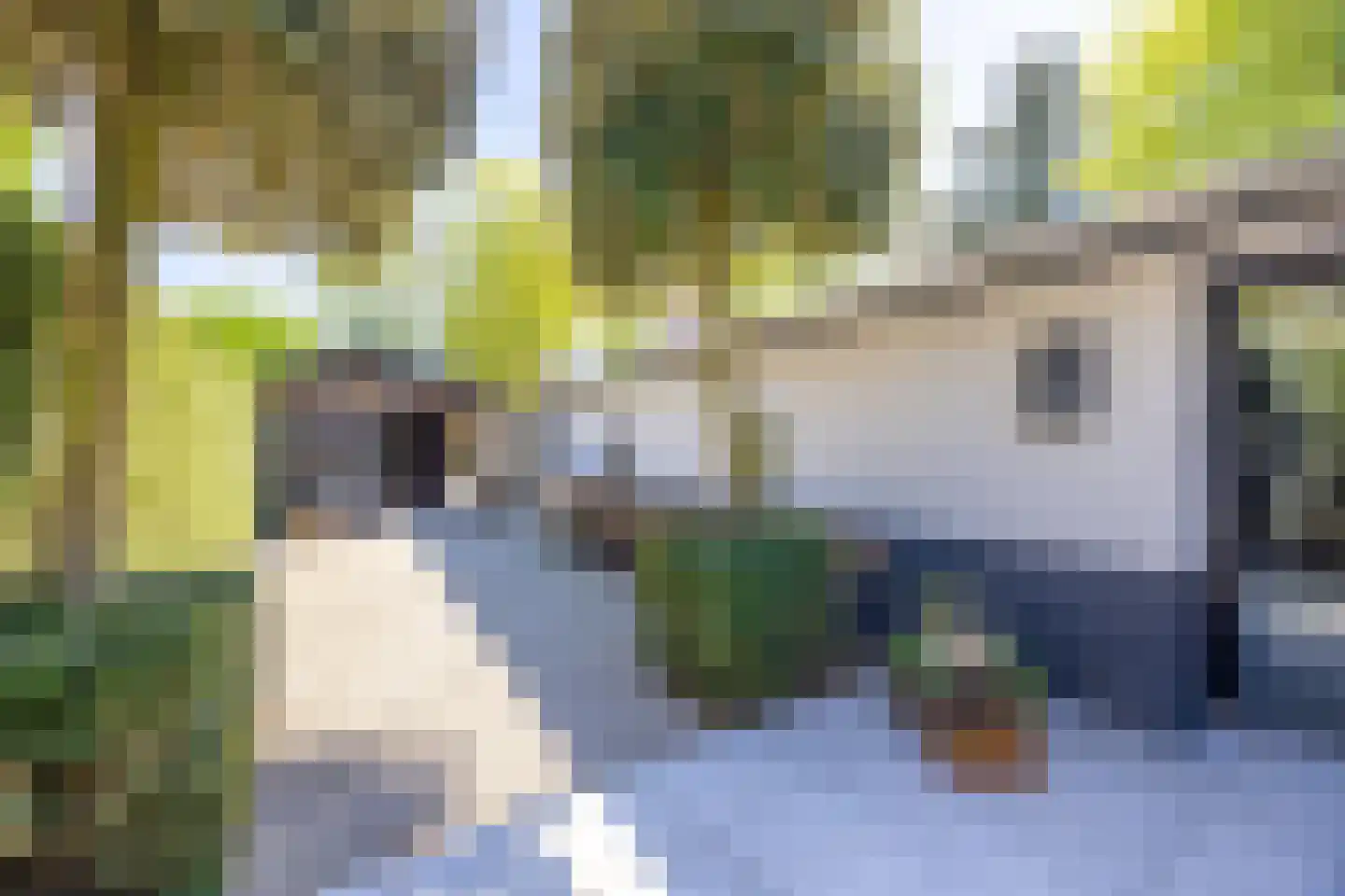 Melkweg 74 Laren thumbnail 54