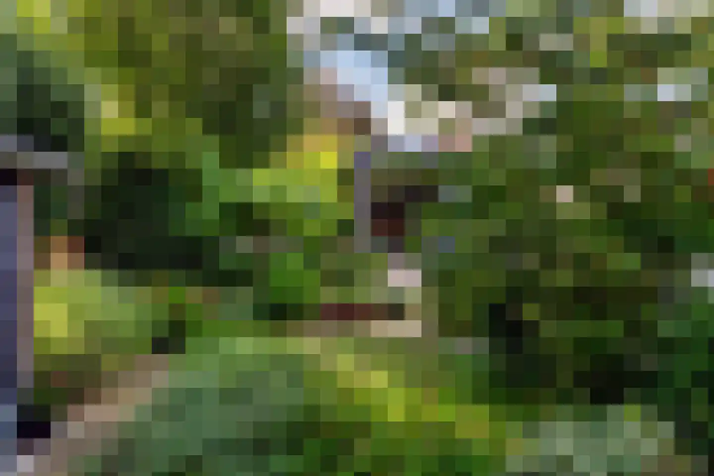 Melkweg 74 Laren thumbnail 58