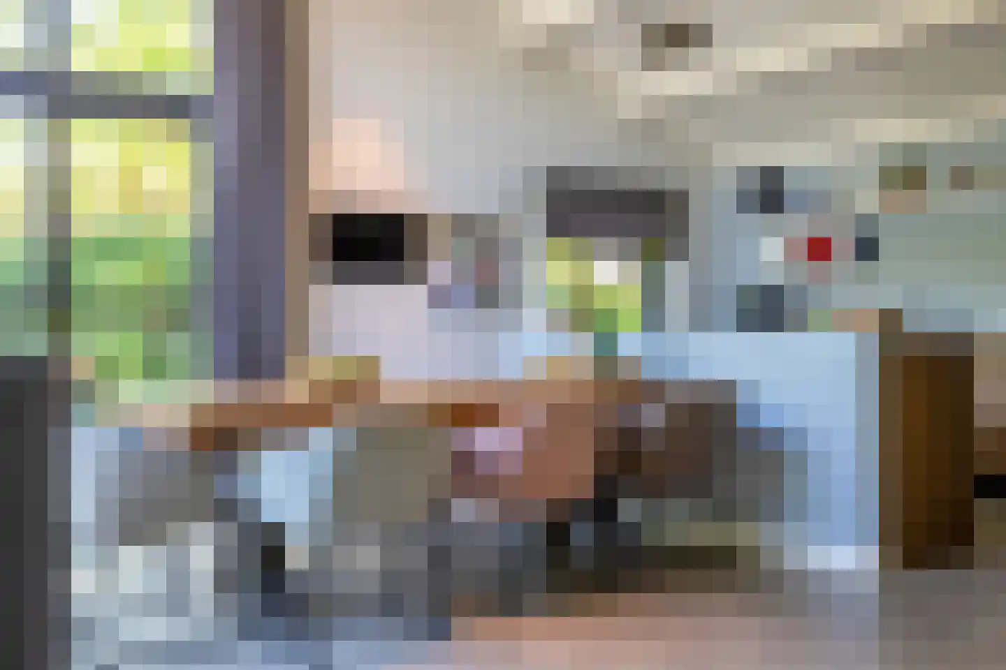 Melkweg 74 Laren thumbnail 6