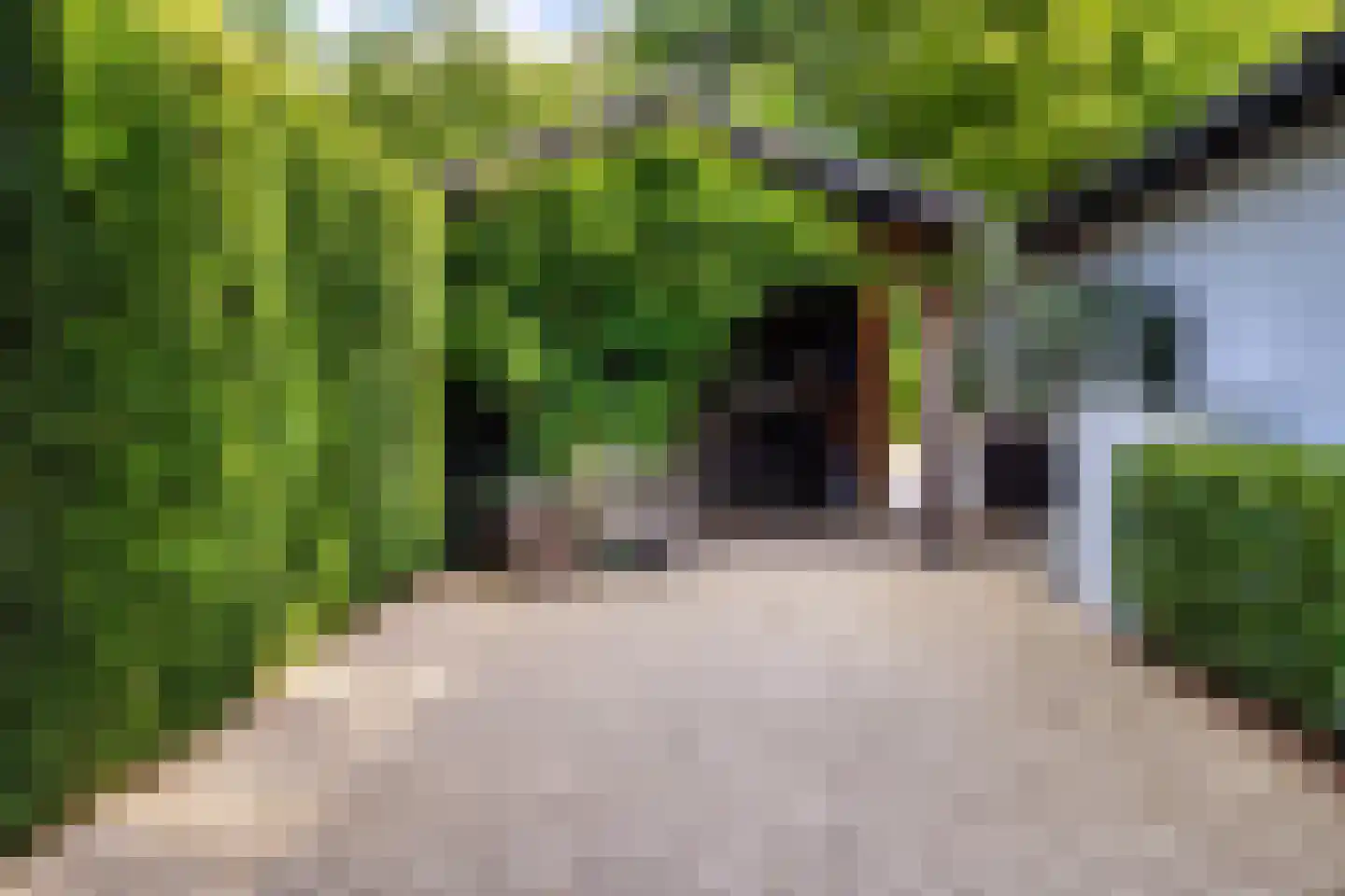 Melkweg 74 Laren thumbnail 6