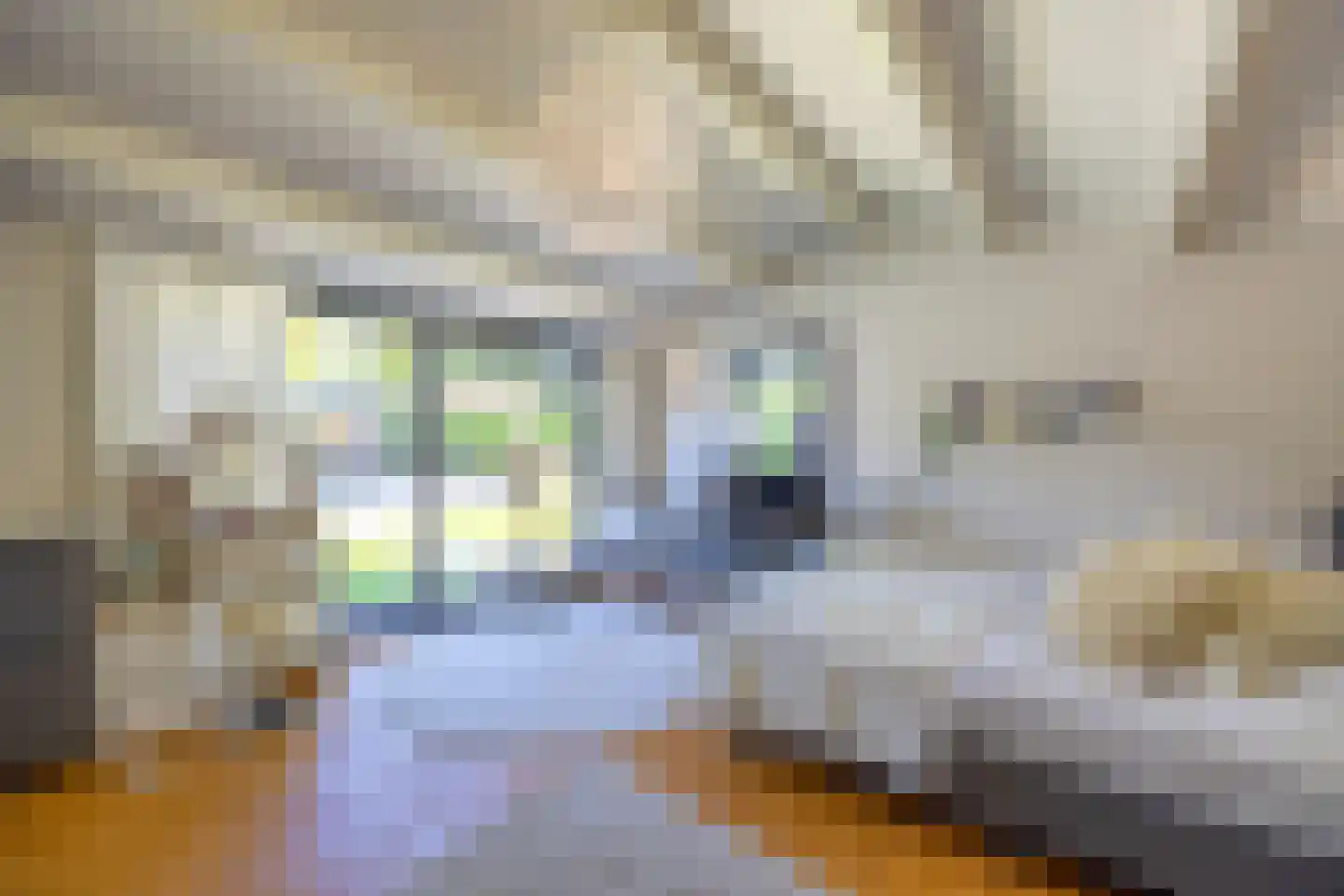 Melkweg 74 Laren thumbnail 62