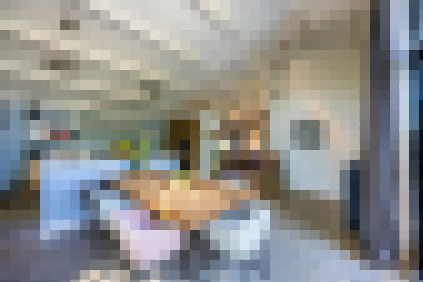Melkweg 74 Laren thumbnail 7