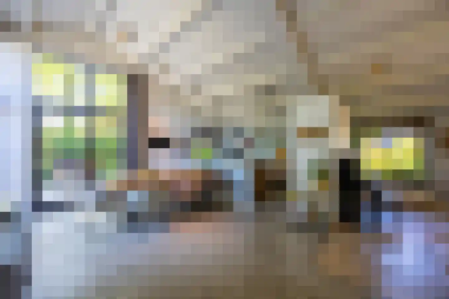 Melkweg 74 Laren thumbnail 8