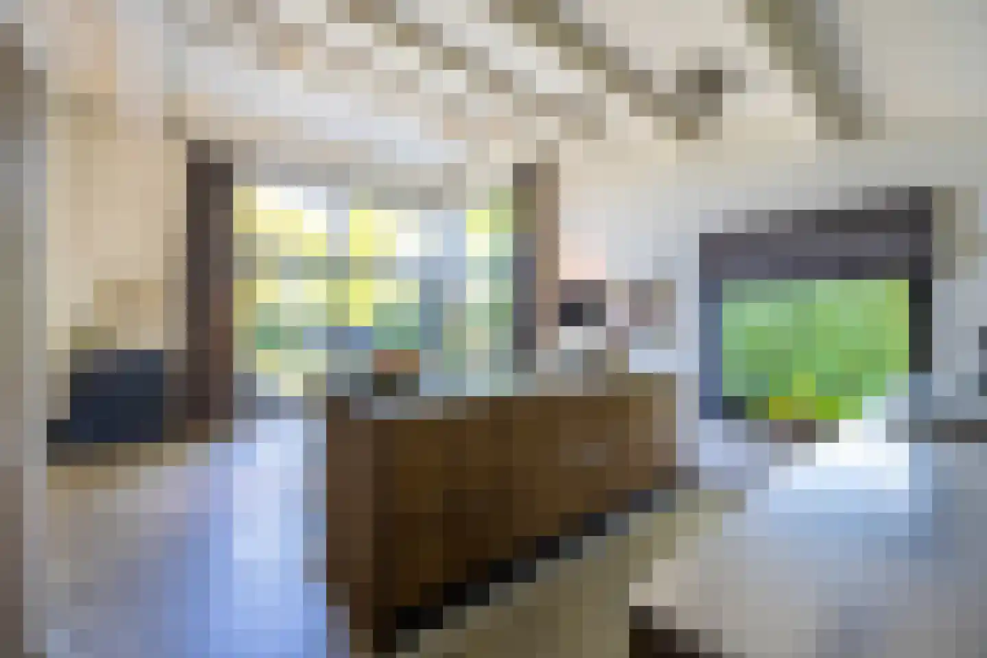 Melkweg 74 Laren thumbnail 8