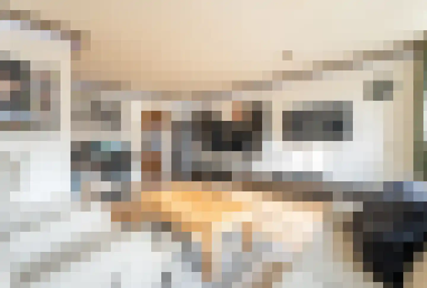 Melkweg 75 Hellevoetsluis thumbnail 16
