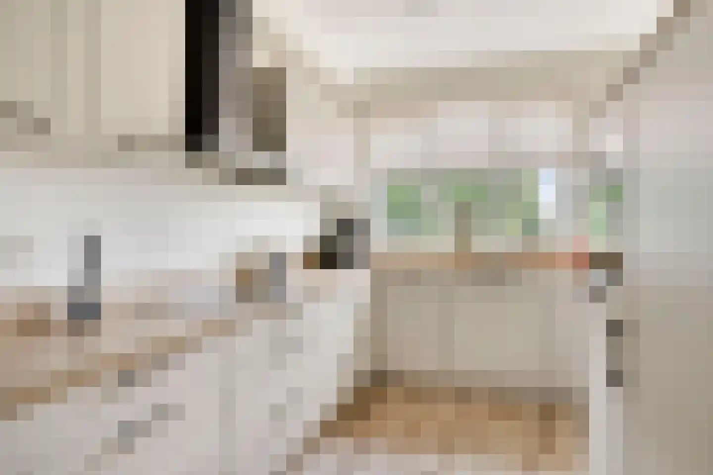 Melkweg 76 Zuidland thumbnail 10