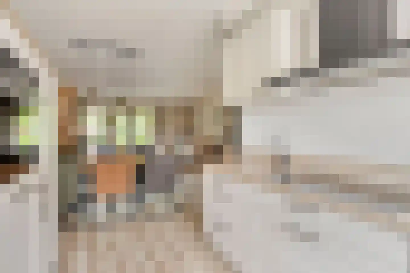 Melkweg 76 Zuidland thumbnail 11