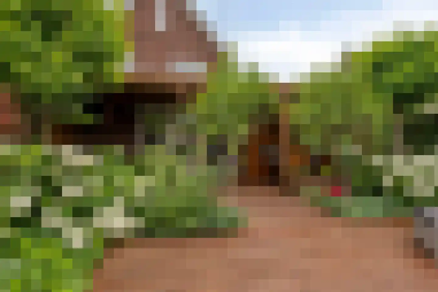 Melkweg 76 Zuidland thumbnail 27