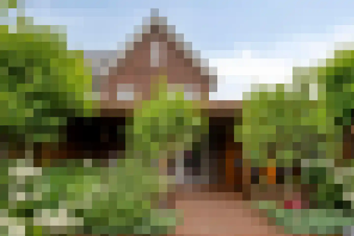 Melkweg 76 Zuidland thumbnail 28
