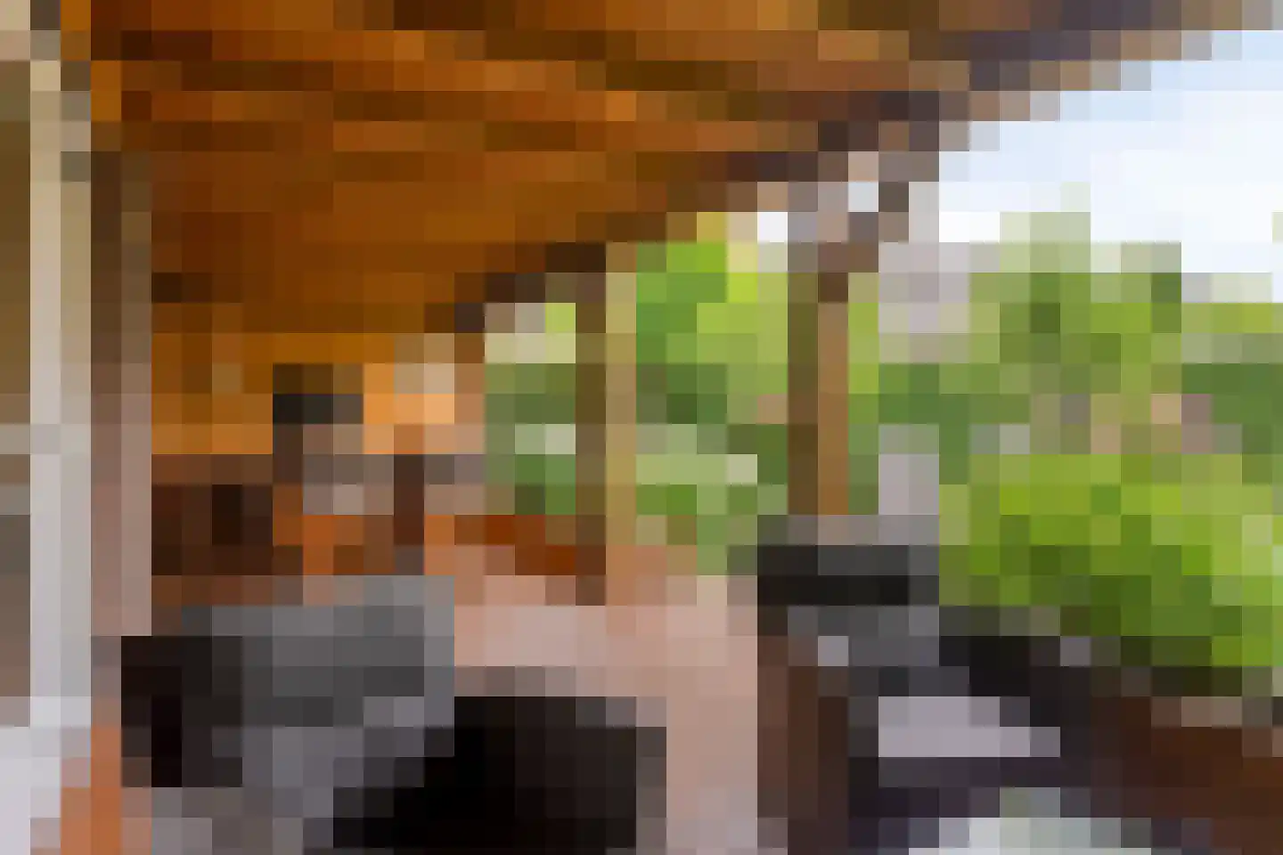 Melkweg 76 Zuidland thumbnail 5
