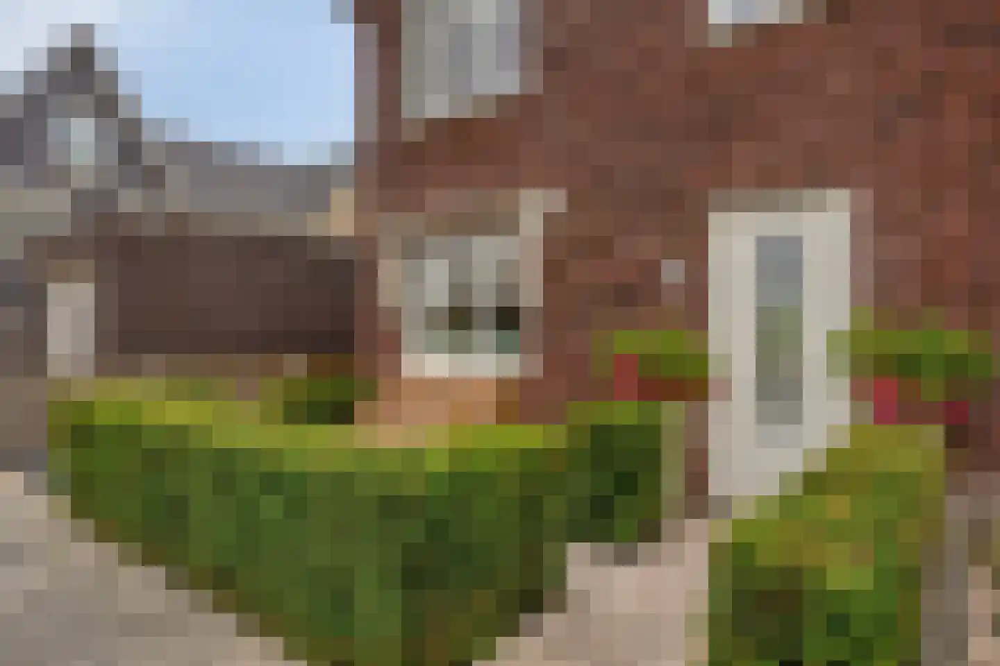 Melkweg 76 Zuidland thumbnail 7