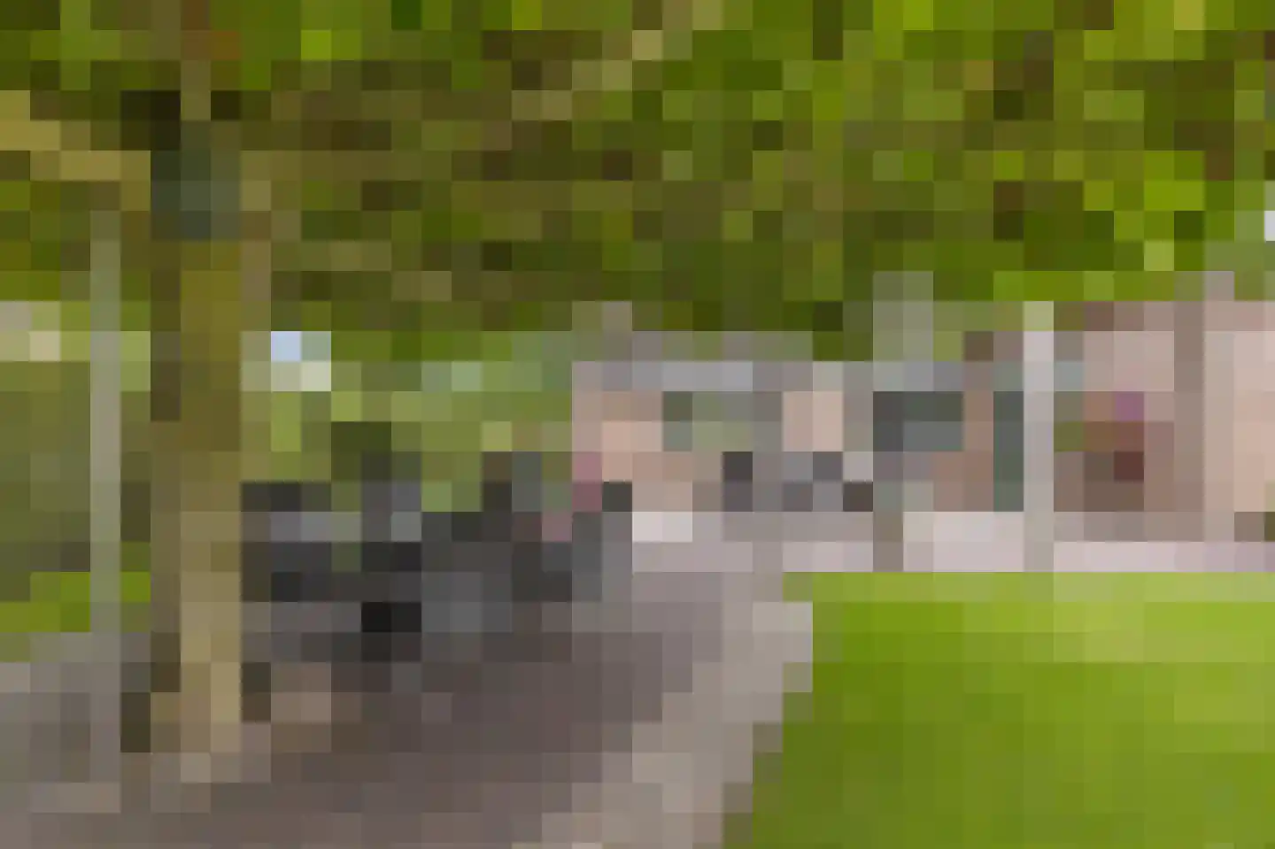 Melkweg 8 Eibergen thumbnail 51