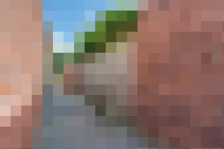Melkweg 8 Hellevoetsluis thumbnail 32