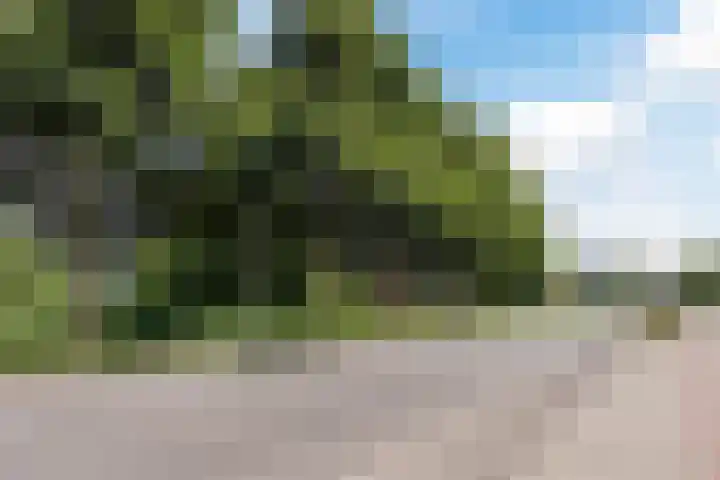 Melkweg 8 Hellevoetsluis thumbnail 35