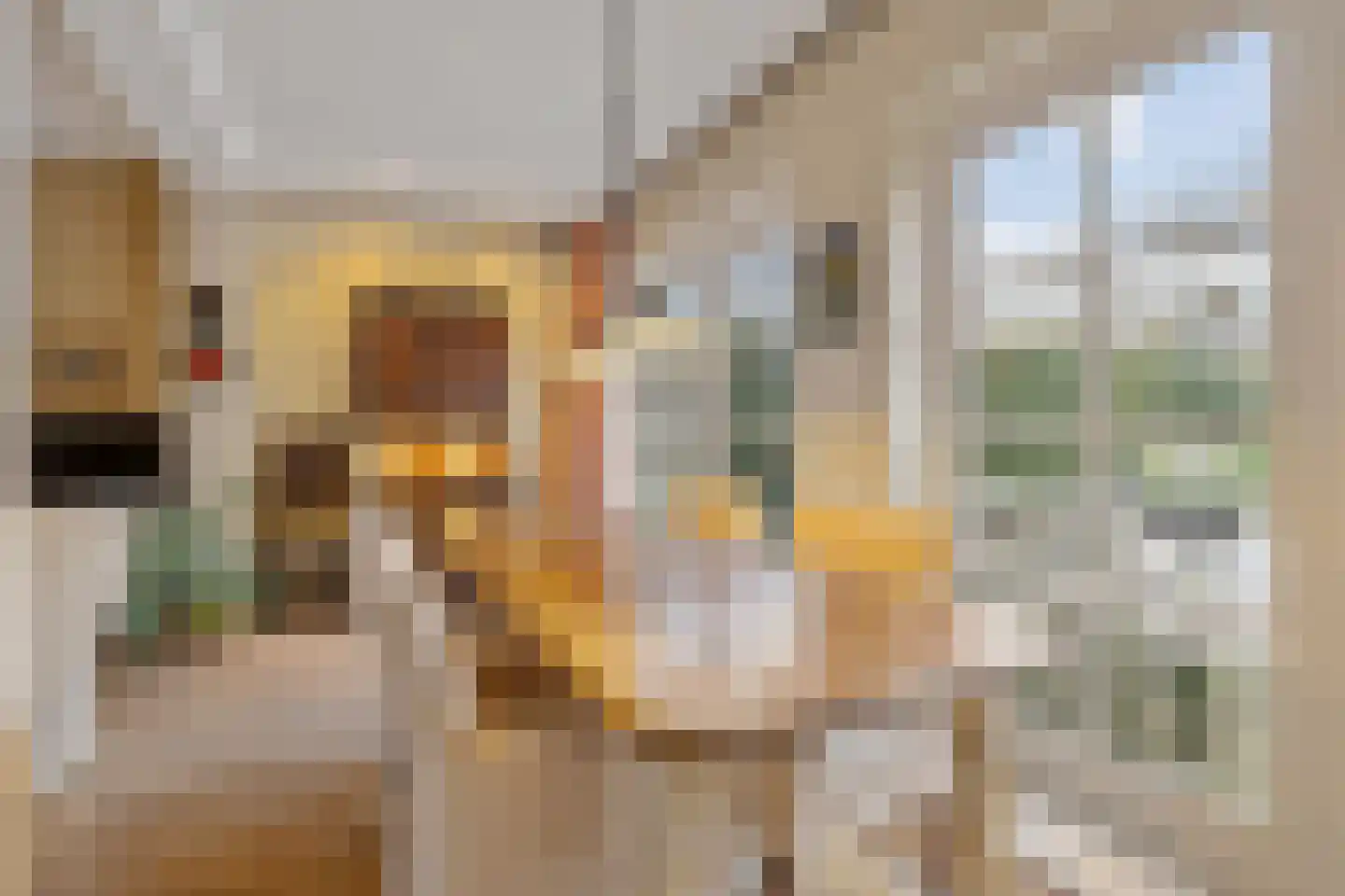 Melkweg 8 Huizen thumbnail 17