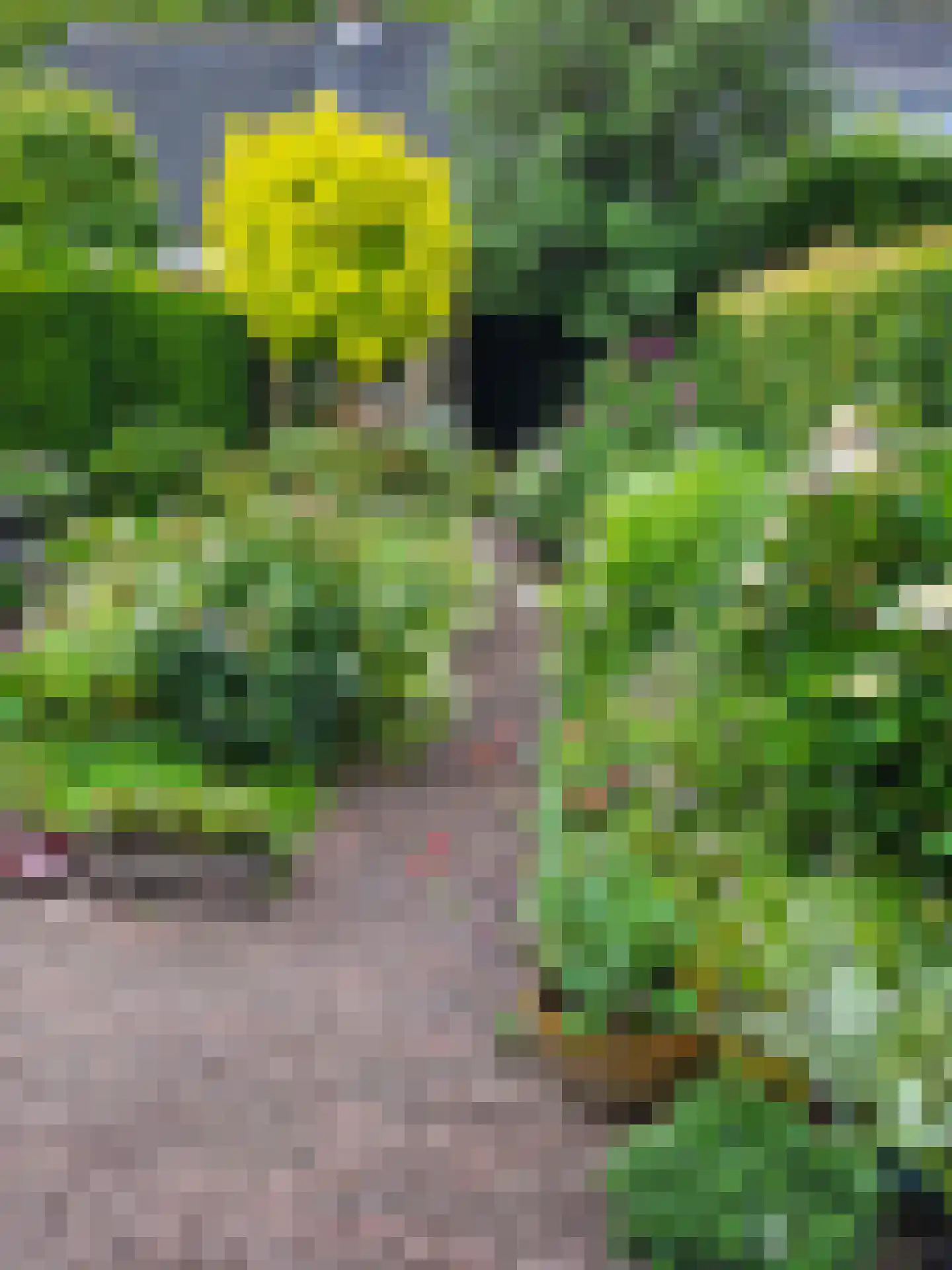 Melkweg 8 Huizen thumbnail 24