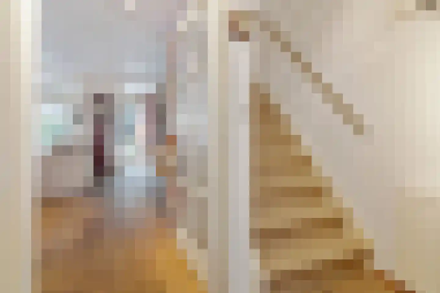 Melkweg 8 Huizen thumbnail 27