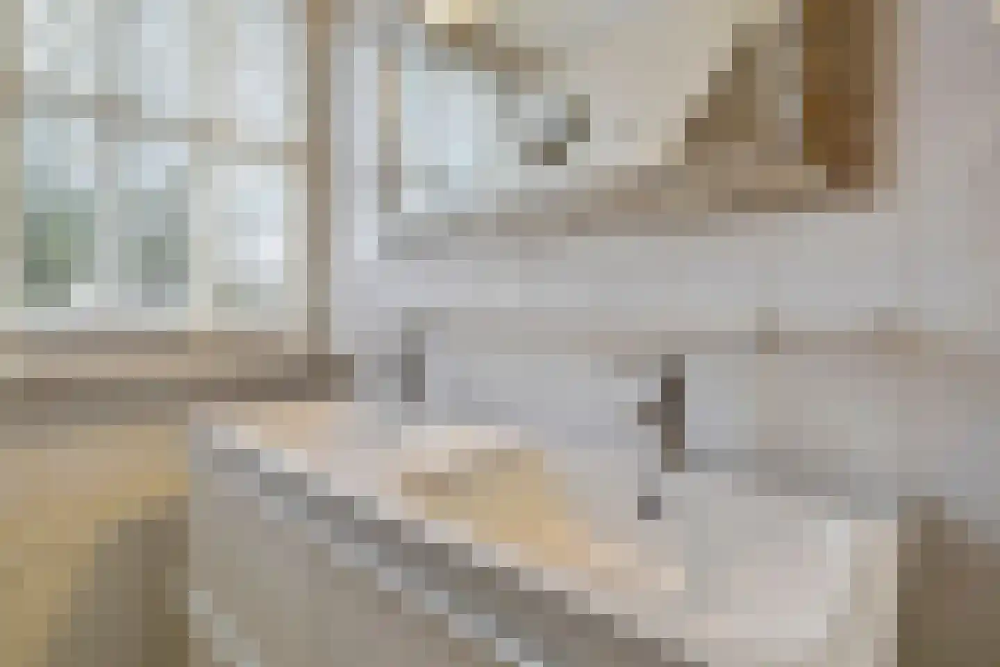 Melkweg 8 Huizen thumbnail 31