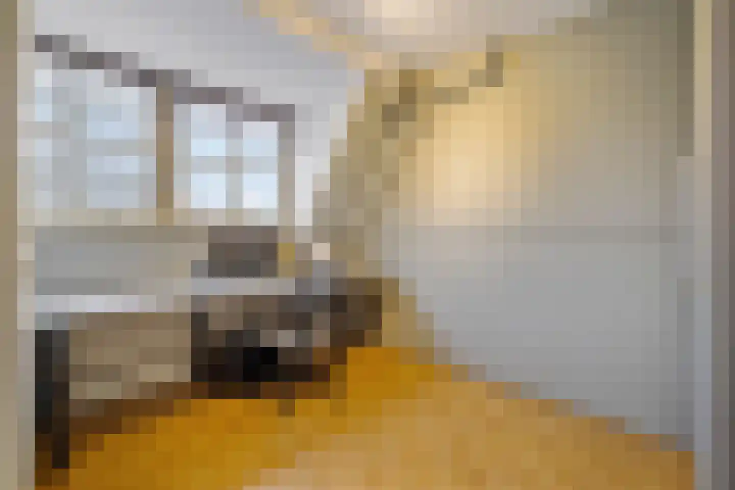 Melkweg 8 Huizen thumbnail 35