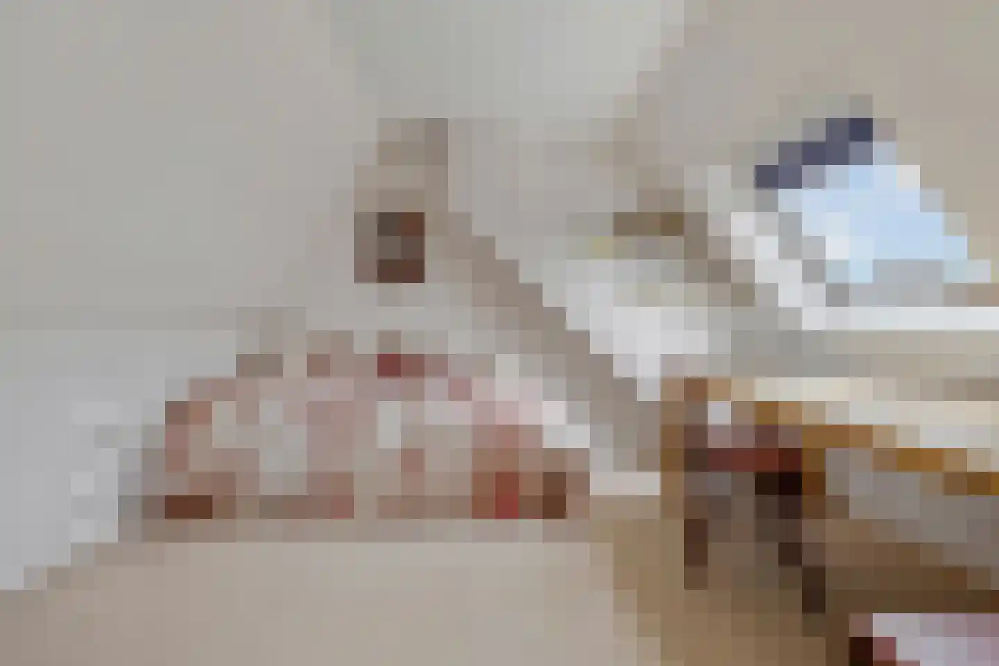 Melkweg 8 Huizen thumbnail 37