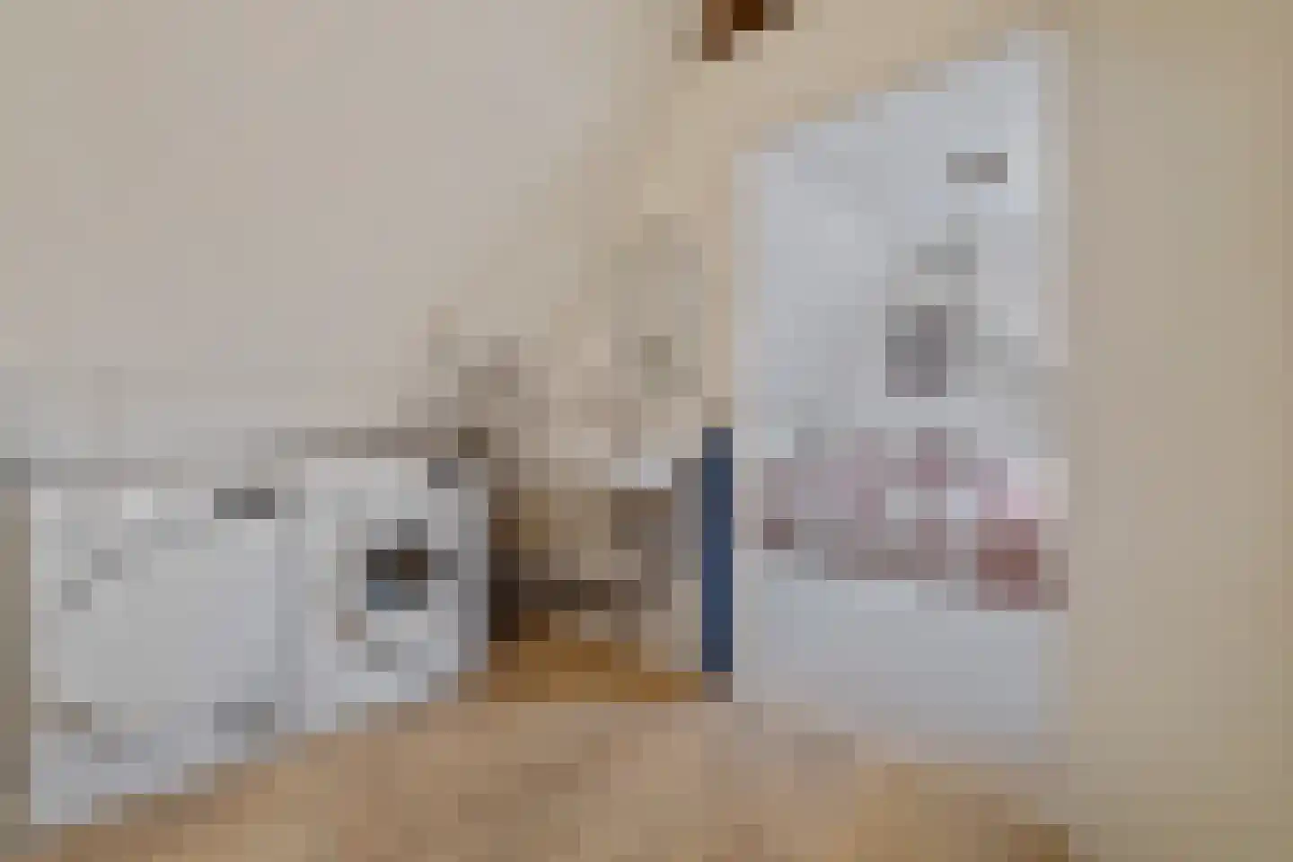 Melkweg 8 Huizen thumbnail 38