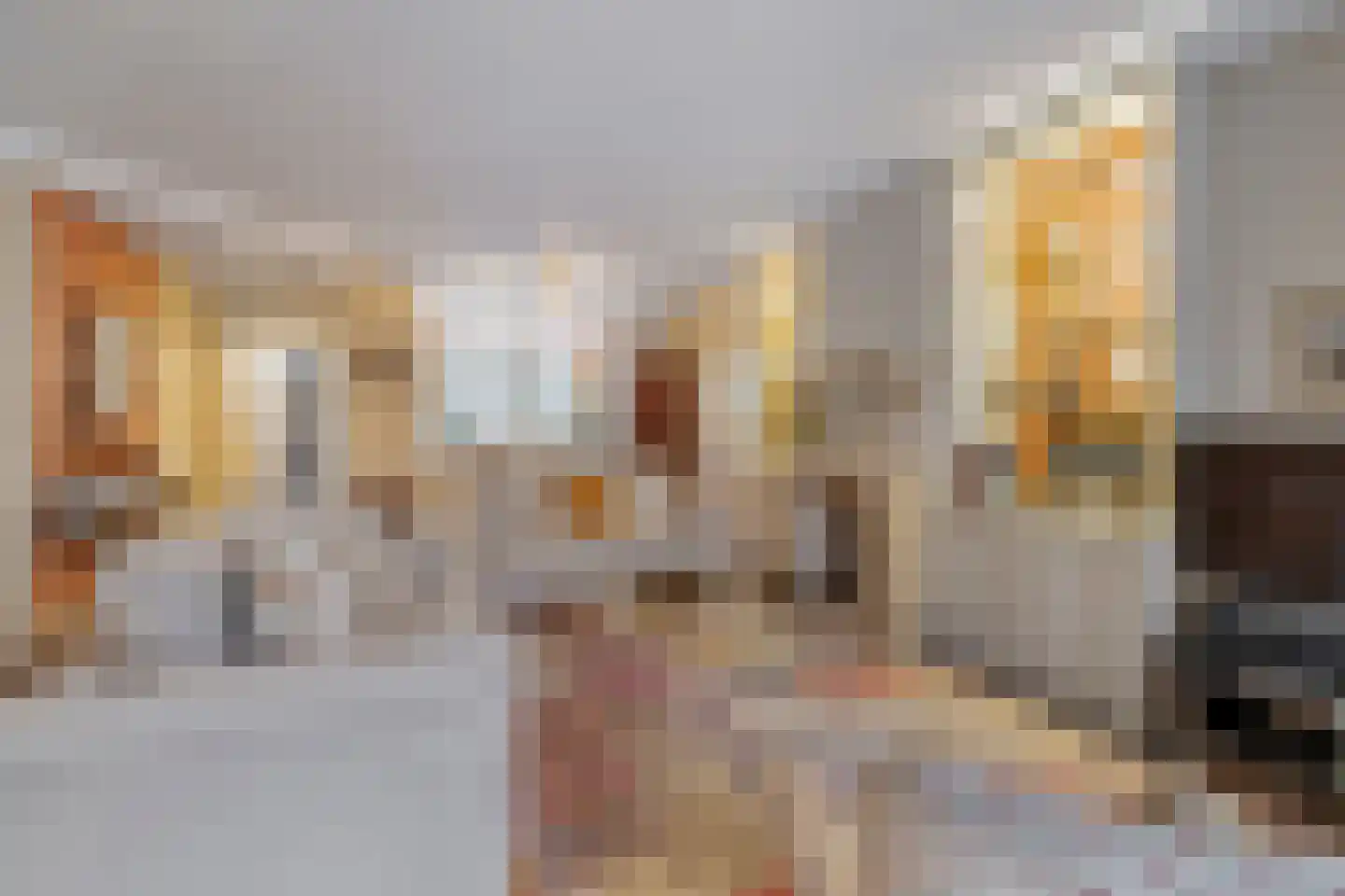 Melkweg 8 Huizen thumbnail 6