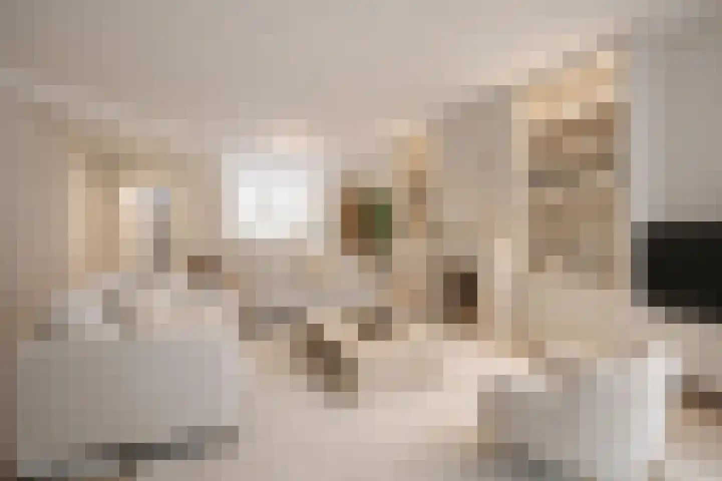 Melkweg 8 Huizen thumbnail 7