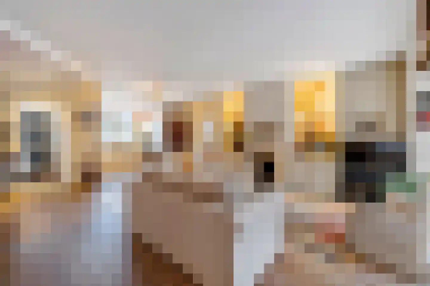 Melkweg 8 Huizen thumbnail 9