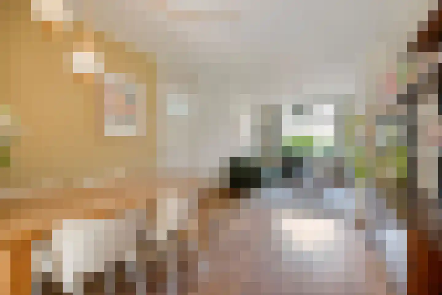 Melkweg 85 Eindhoven thumbnail 16