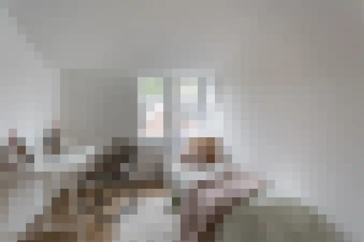 Melkweg 9 Bussum thumbnail 18