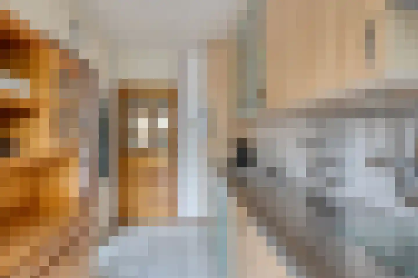 Melkwegplein 25 Spijkenisse thumbnail 13