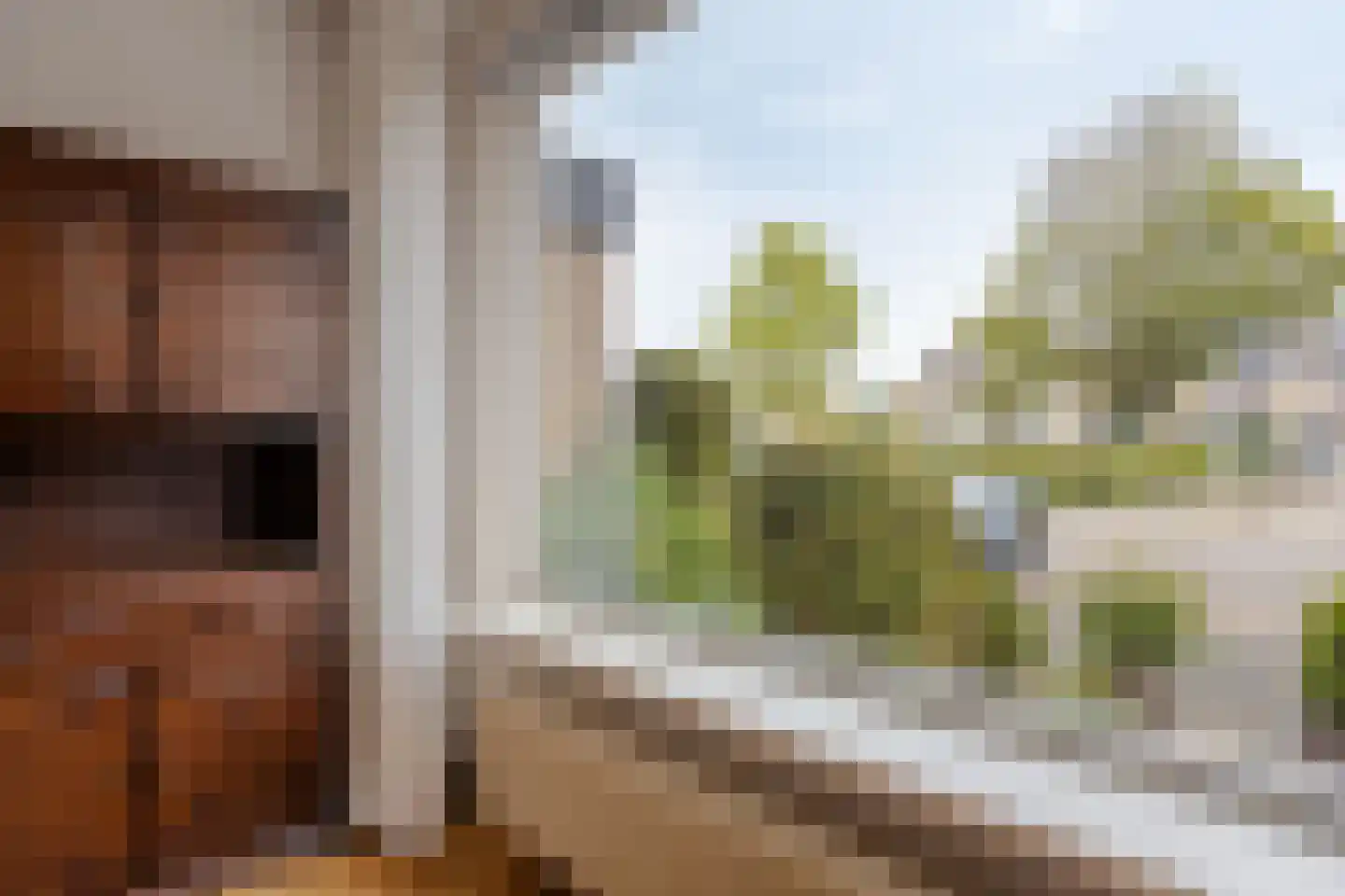 Melkwegplein 25 Spijkenisse thumbnail 8