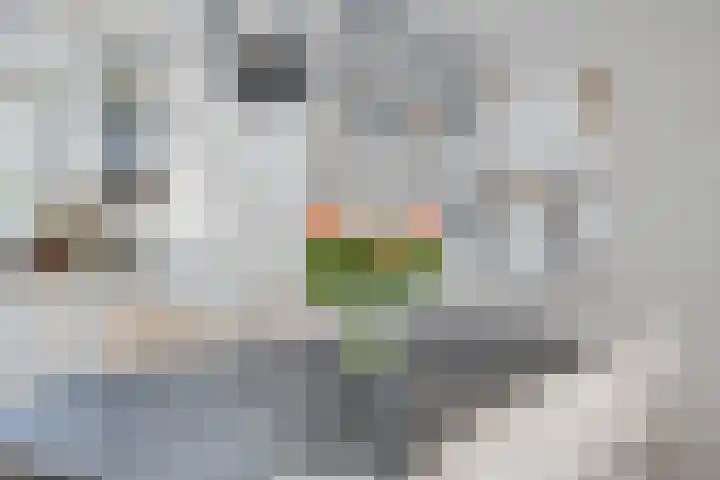 Melkwit 7 Zoetermeer thumbnail 10