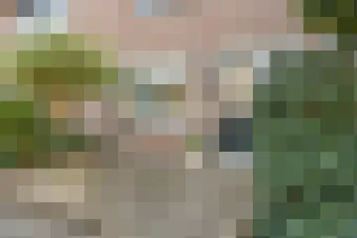 Melkwit 7 Zoetermeer thumbnail 12