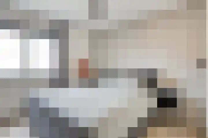 Melkwit 7 Zoetermeer thumbnail 14