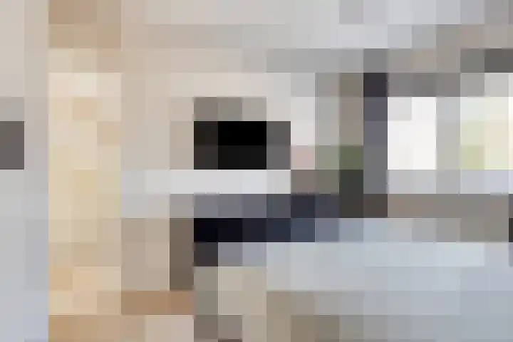 Melkwit 7 Zoetermeer thumbnail 15