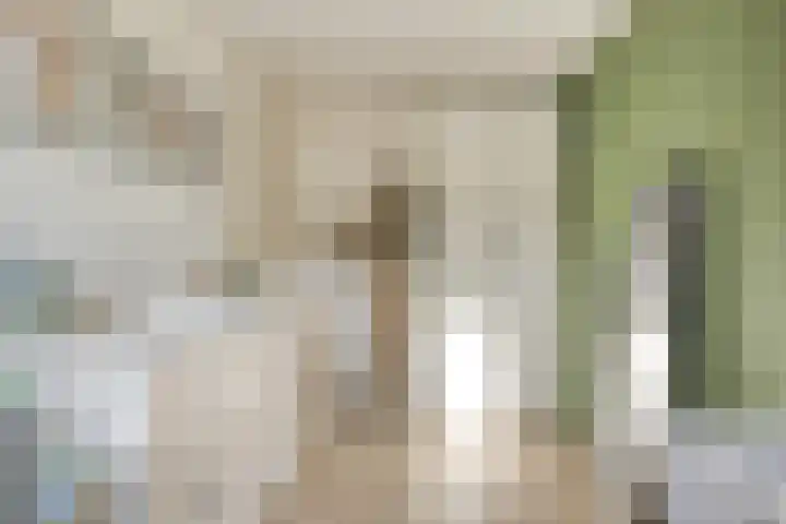 Melkwit 7 Zoetermeer thumbnail 20